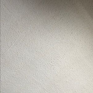 Meet your Posher, Daisy